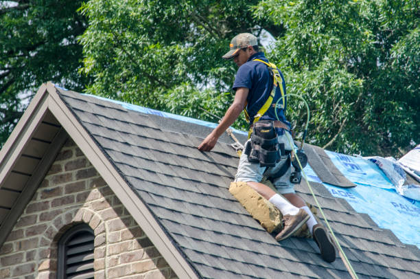 Roof Gutter Cleaning in Freedom, CA